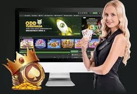 qq66